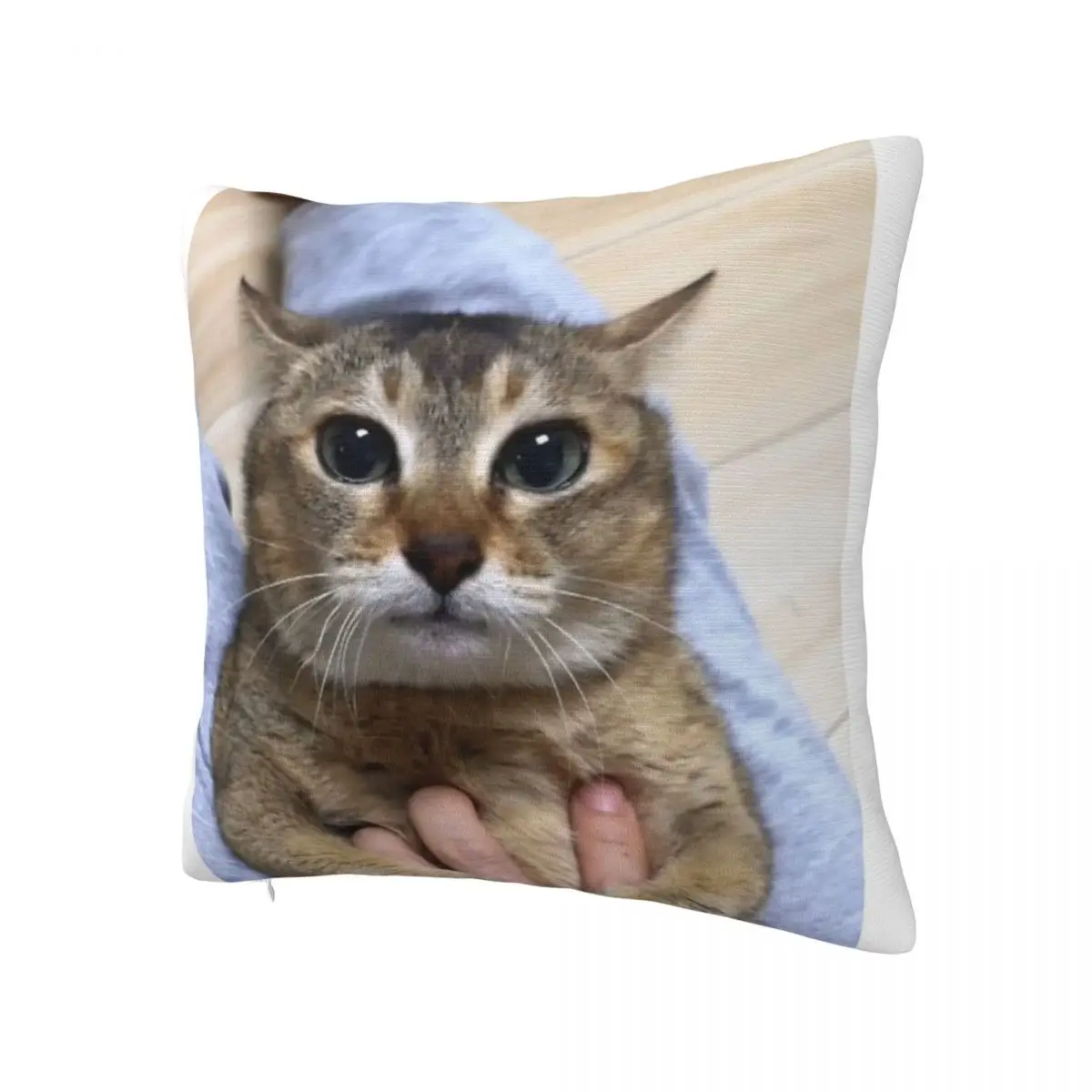 Tole Tole Vro Cat Pillow Case Pillow Cover Cushions Pillow Covers Pillow Case With Zip