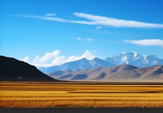 

4,3-дюймовый Wi-Fi видео дверной звонок беспроводной двусторонний домофон инфракрасный дверной звонок камера умный дом безопасность ночное видение визуальный дверной звонок