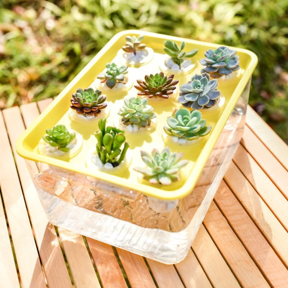

Transparent Hydroponic Grow Fish Tank Soilless Cultivation Healthy Environment Nursery Planting Box Self-Cleaning