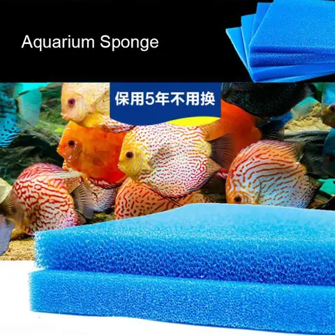 6 best sales blue foam - №5