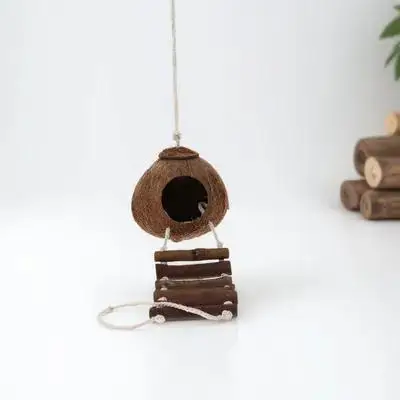 Hermit Crab Climbin…