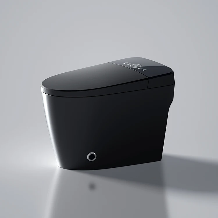 Toilet,Matte Black Bidet Floor Smart Toilet S Trap Toilets With Bidet Ceramic Wc