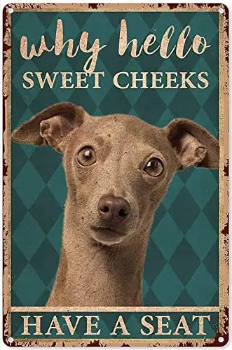 Funny Animal Decor Italian Greyhound why Hello Sweet Cheek Tin Sign  Garage Sign  Vintage Art Wall Home Decor Christmas Decor