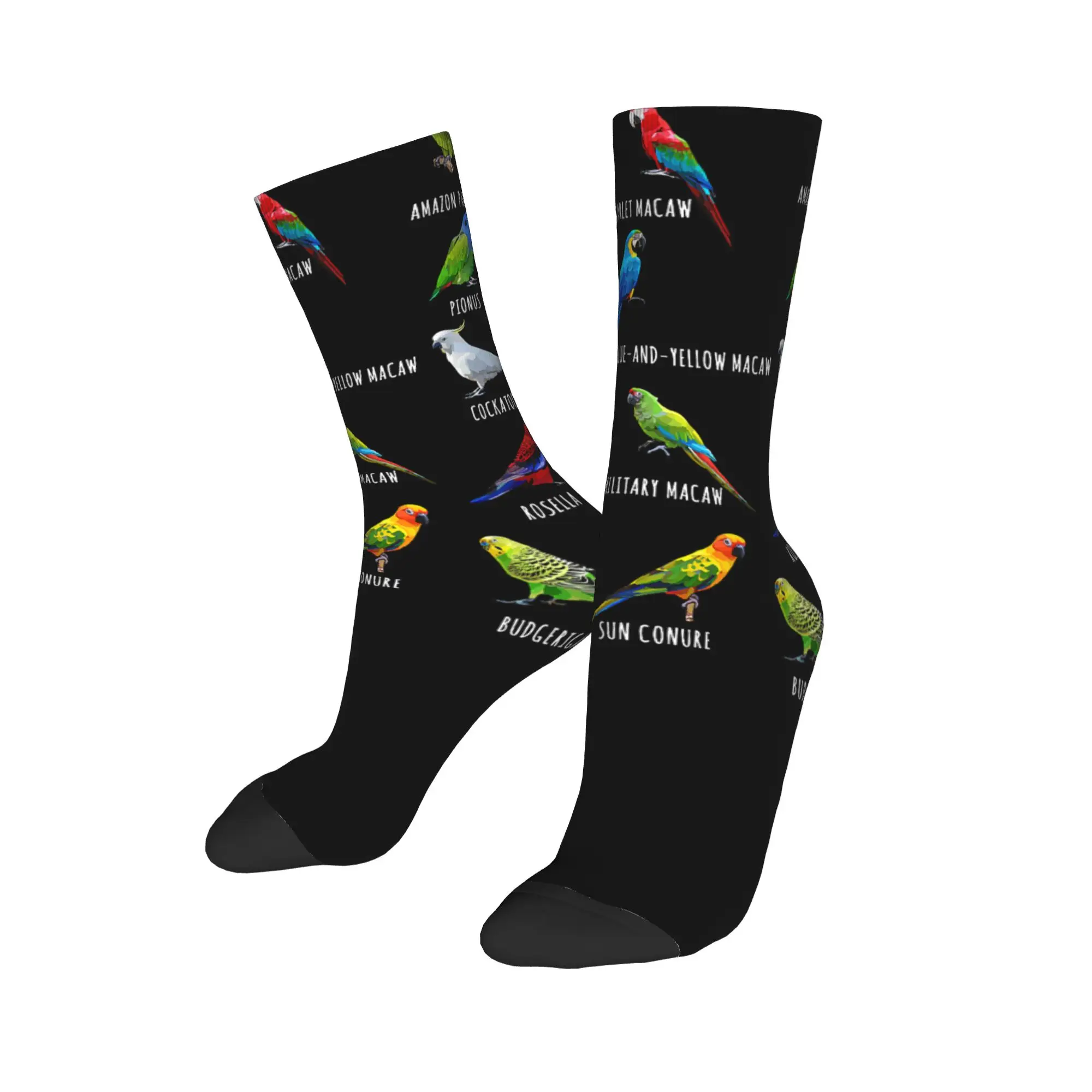Autumn Winter Funny Unisex Parrots Bird Guide Different Parrot Species of The World Pet Socks  Sweat Absorbing Soccer Socks