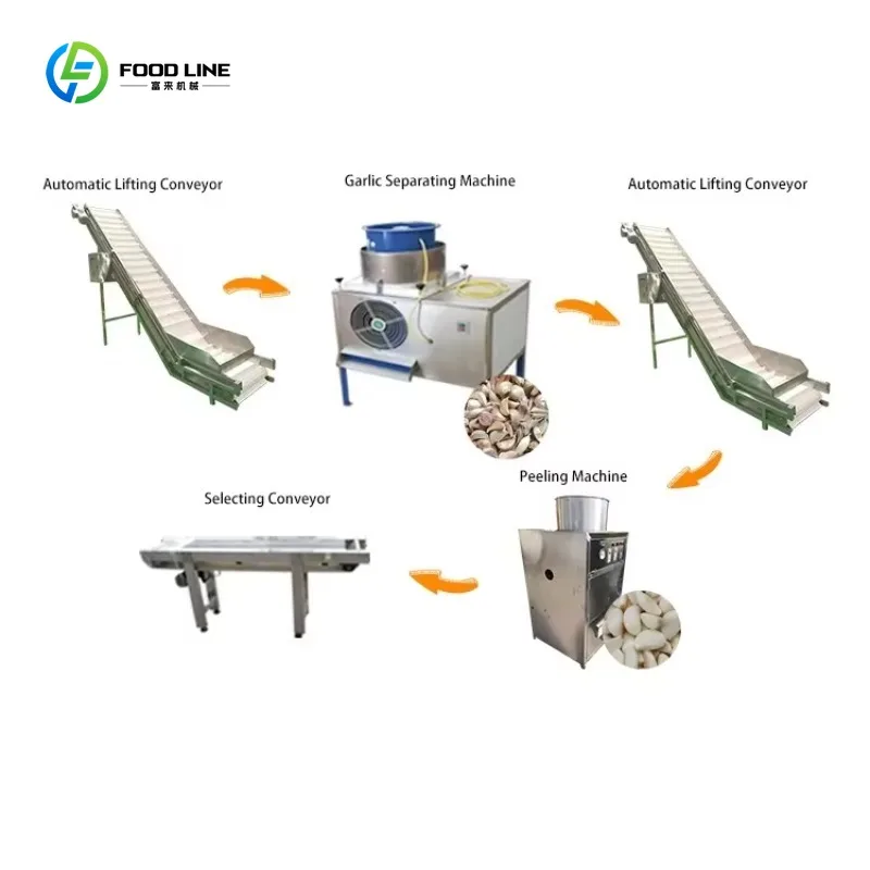 Integrated Flow Garlic Cleaner Peeler Compact Design Space Saving for Medium Food Processing Factory Custom