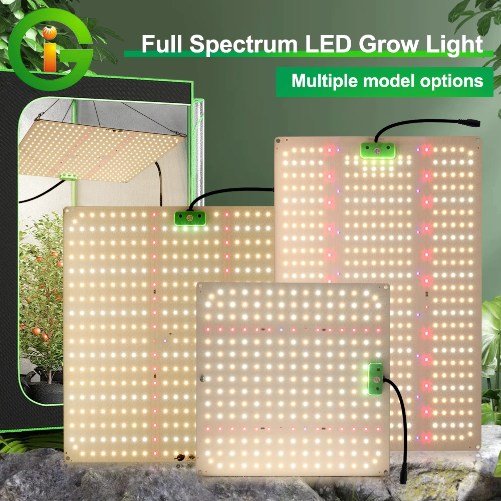 LED-Pflanzenlampen für Zimmerpflanzen Vollspektrum-Pflanzenwachstumslampen mit unabhängigem Schalter Zwei Betriebsmodi VEG&Bloom