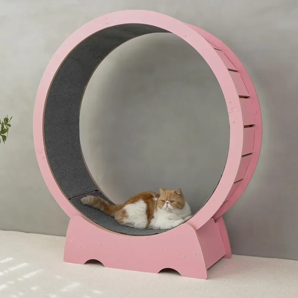 

Кошачьи простая сборка, кошачьи беговые колеса с блокирующим механизмом, детали для домашних животных, очень тихие игрушки для защиты позвоночника