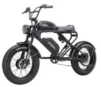 Meelod DK300 MAX Adult Electric Bicycle 750W Dual-motor Mountain Bike 48V20Ah Dual Lithium Battery 20*4.0 Snow Tires