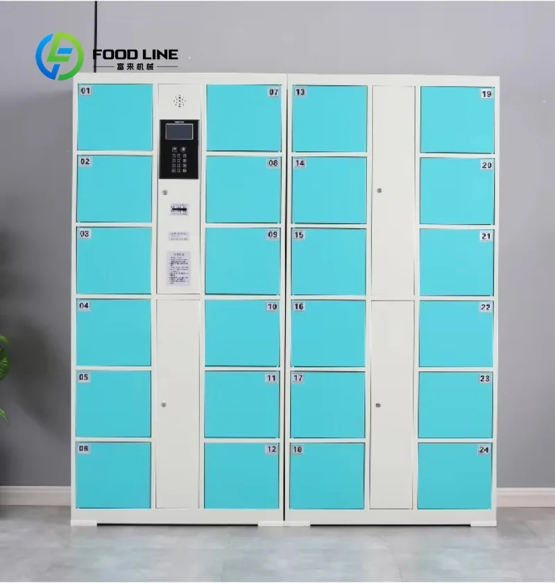 Intelligent Smart Locker Cabinet Secure Storage Solution for Gym School and Office Environment