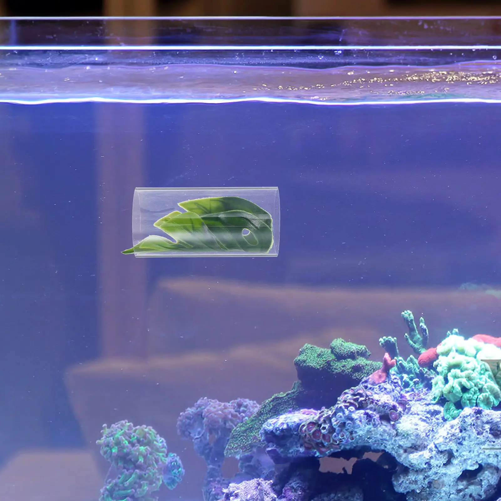 الأسماك الروبيان المأوى حوض السمك الأنفاق خزان بيتا اكسسوارات مخبأ لعبة الاكريليك واضح كهف الديكور الحلي للغوبي