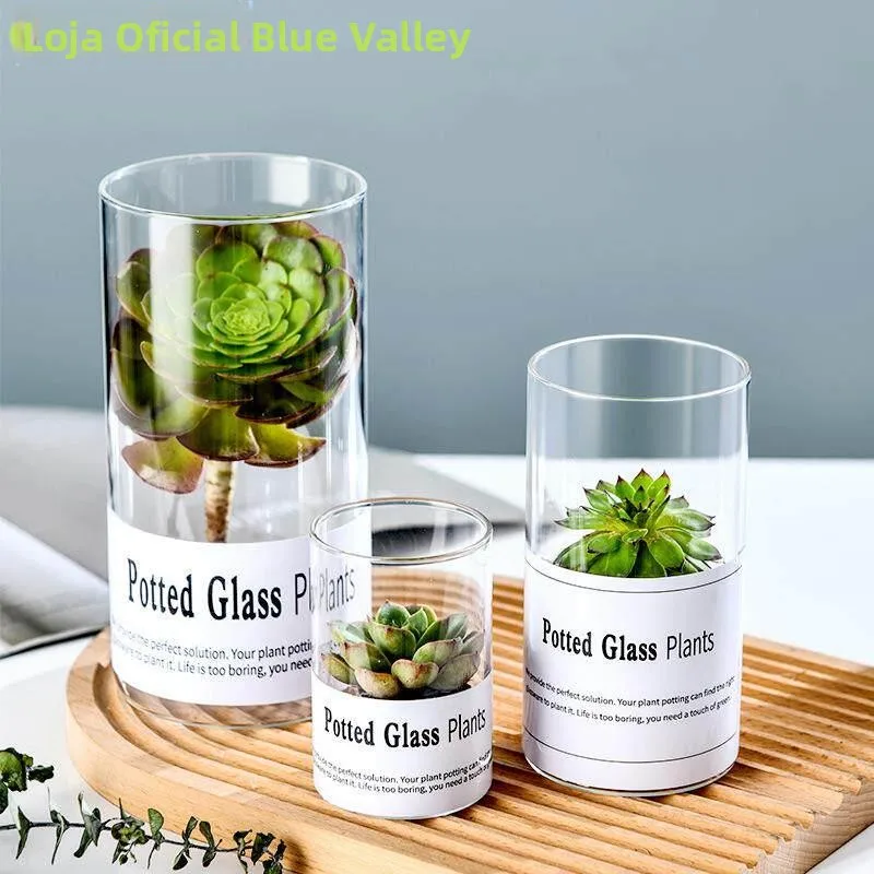 open-top-eco-friendly-glass-jar-desktop-decoration-storage-canister-uncovered-hydroponics-miniature-landscape-glass-bottle