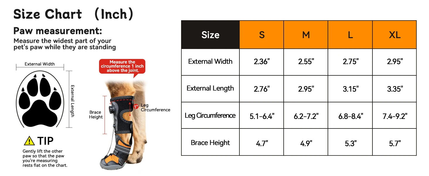 drop foot brace