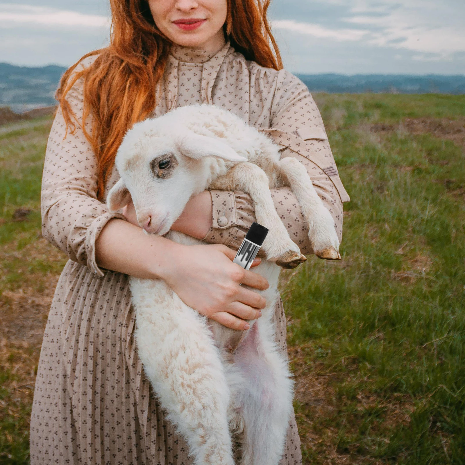 Caneta lápis para marcação de animais, 5 peças, vara de identificação de gado, aplicação suave, marcadores de fazenda multiuso para porcos, vacas, ovelhas