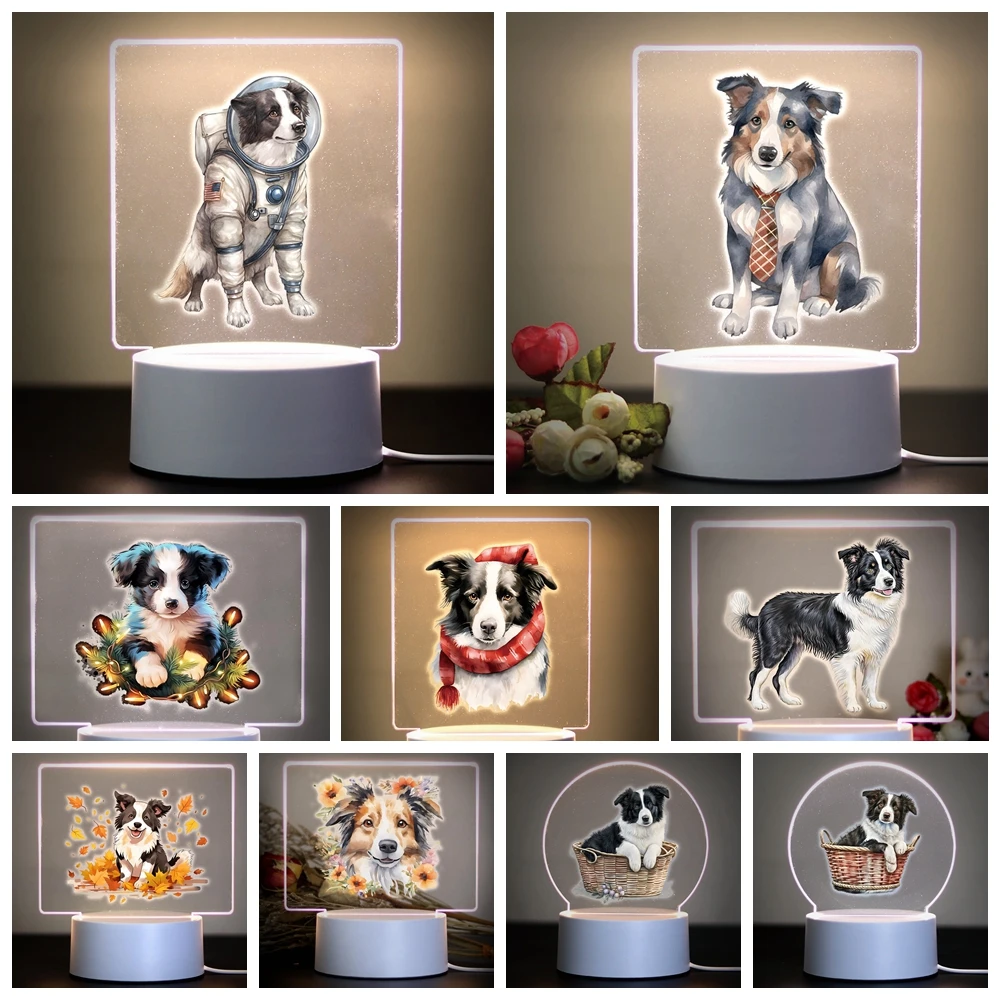 Border collie Kids Night Light Bedside Rechargeable Night Lights Bedroom Manga Anime Figure Night Lights Children Gift