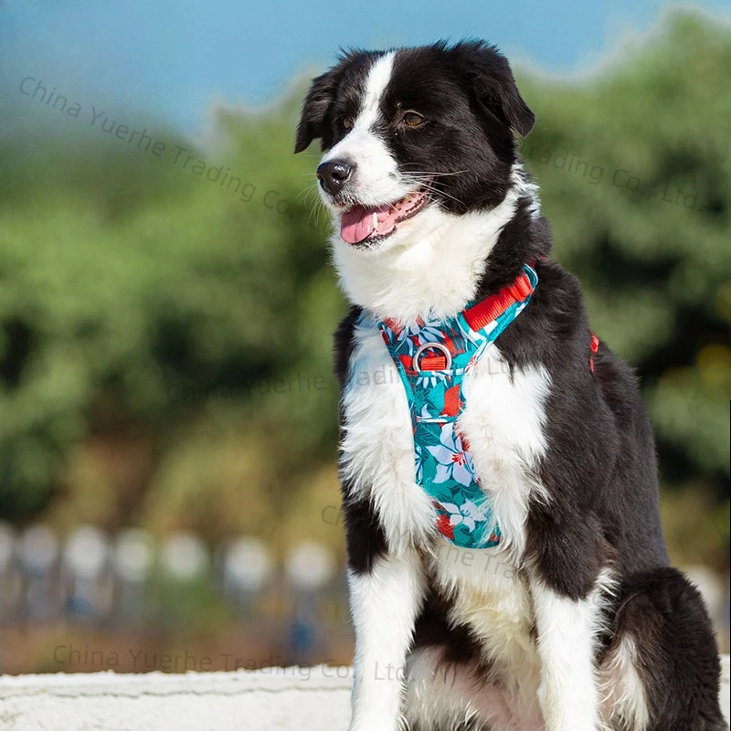 

Pet dog chest strap camouflage anti-explosion upgrade traction reflective light