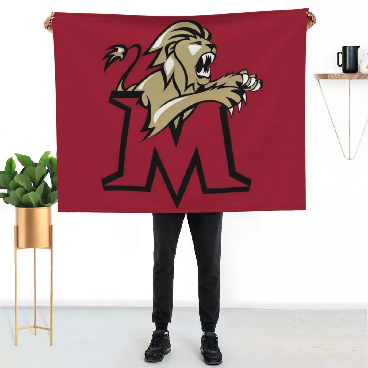 Molloy College Throw Blanket Bed Soft Big sofa bed Stuffeds Hairys wednesday Blankets