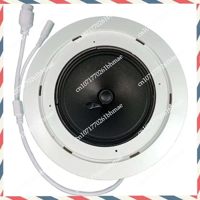 -A21Z 10W شبكة IP نظام العناوين العامة الصوت ABS سقف المتكلم POE أو DC12V