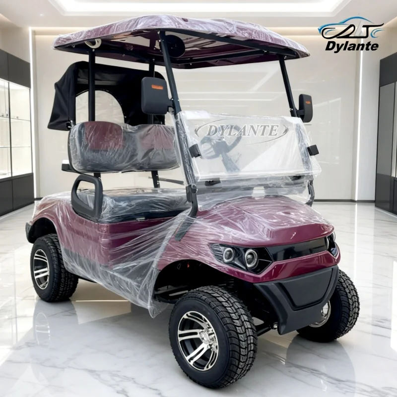 

This New 2-Seater Luxury 2WD Electric Golf Cart Comes With 72V Battery And 10-Inch Wheels, Suitable For Travel Farm Hunting