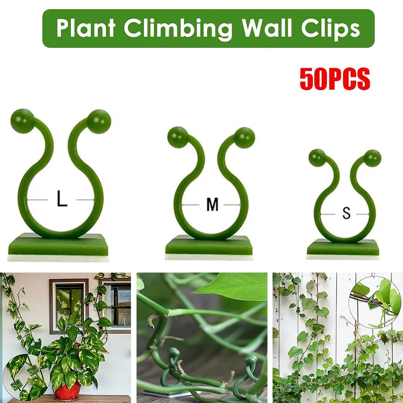 Auto-adesivos grampos de jardim, Clamp Plant Climbing Wall, fixador invisível, ganchos para plantas, videira fixa, Stent Clip, 50pcs