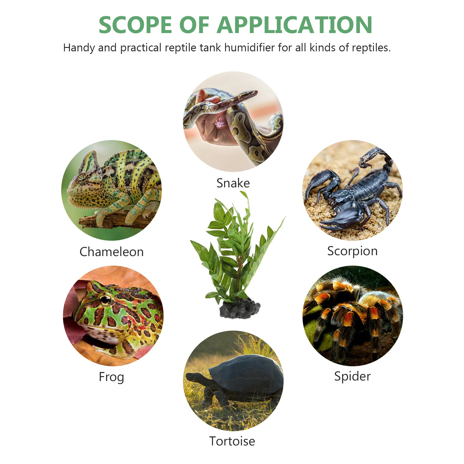 

Decorative Plants For Reptile Terrarium Realistic Aquarium Tank Decor Artificial Landscape Lizard Habitat Fish Tank