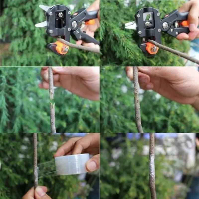 Imagem -06 - Enxertia Podador Tesoura Ferramenta de Jardim Profissional Cortador Ramo Secateur Poda Planta Árvore Frutífera Tesoura Chopper Enxertia em
