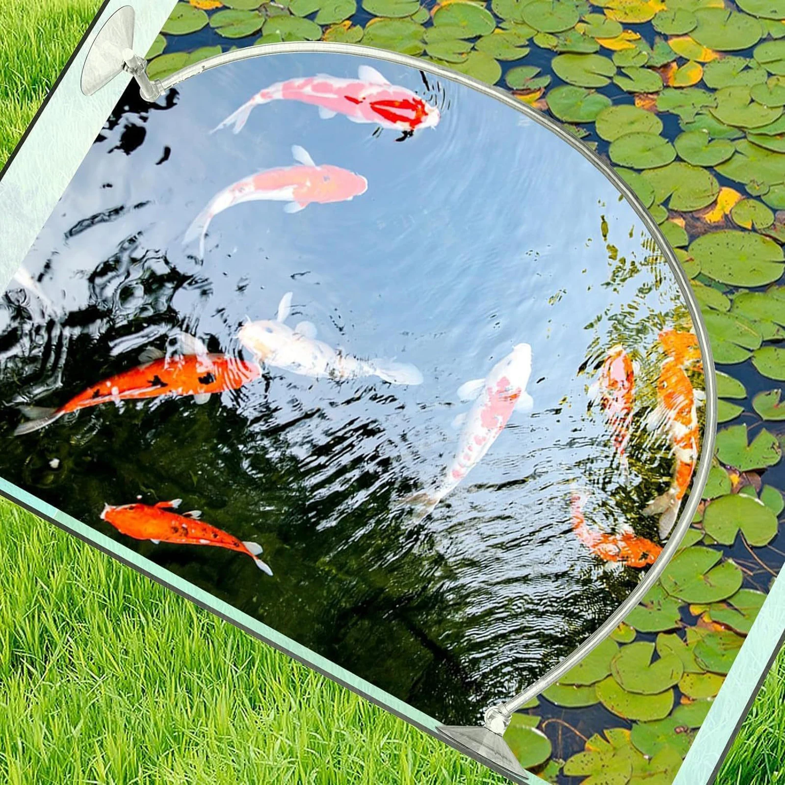 1 Set Aquarium Floating Plant Corral Fish Feeding Ring Floating Aquarium Food Ring for Garden Pond Accessories