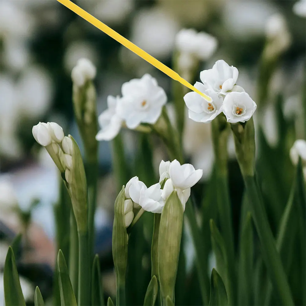

200 Pcs Pollination Tools Gardening Pollinator Yellow Chalk Pen Planting Manual Plastic Supplies Efficient Performance