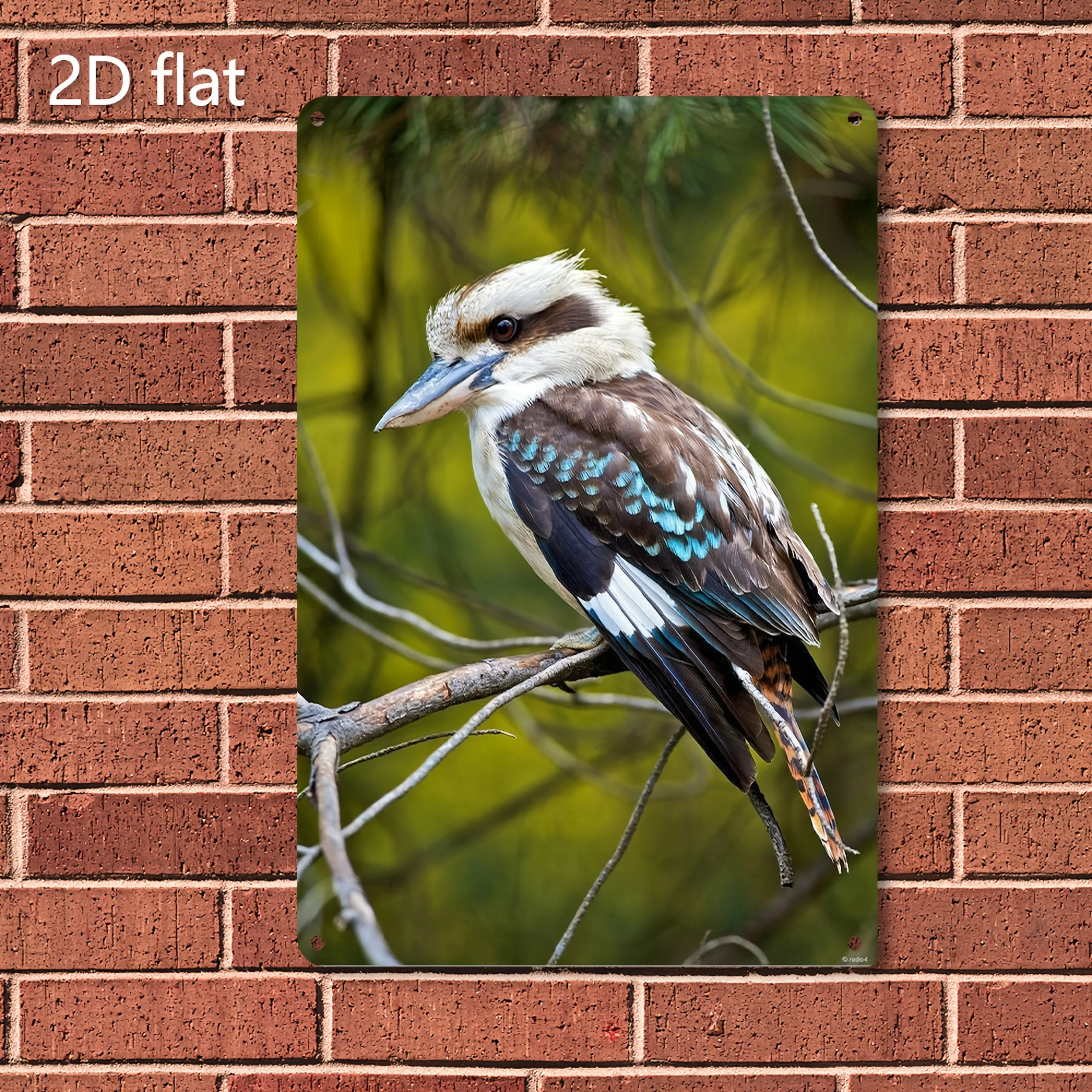 2D Flat, [2D Flat] 1pc Laughing Kookaburra Bird Metal Wall Art - Vibrant  & White Feathers, Pre-Drilled for Easy Hanging, Wea