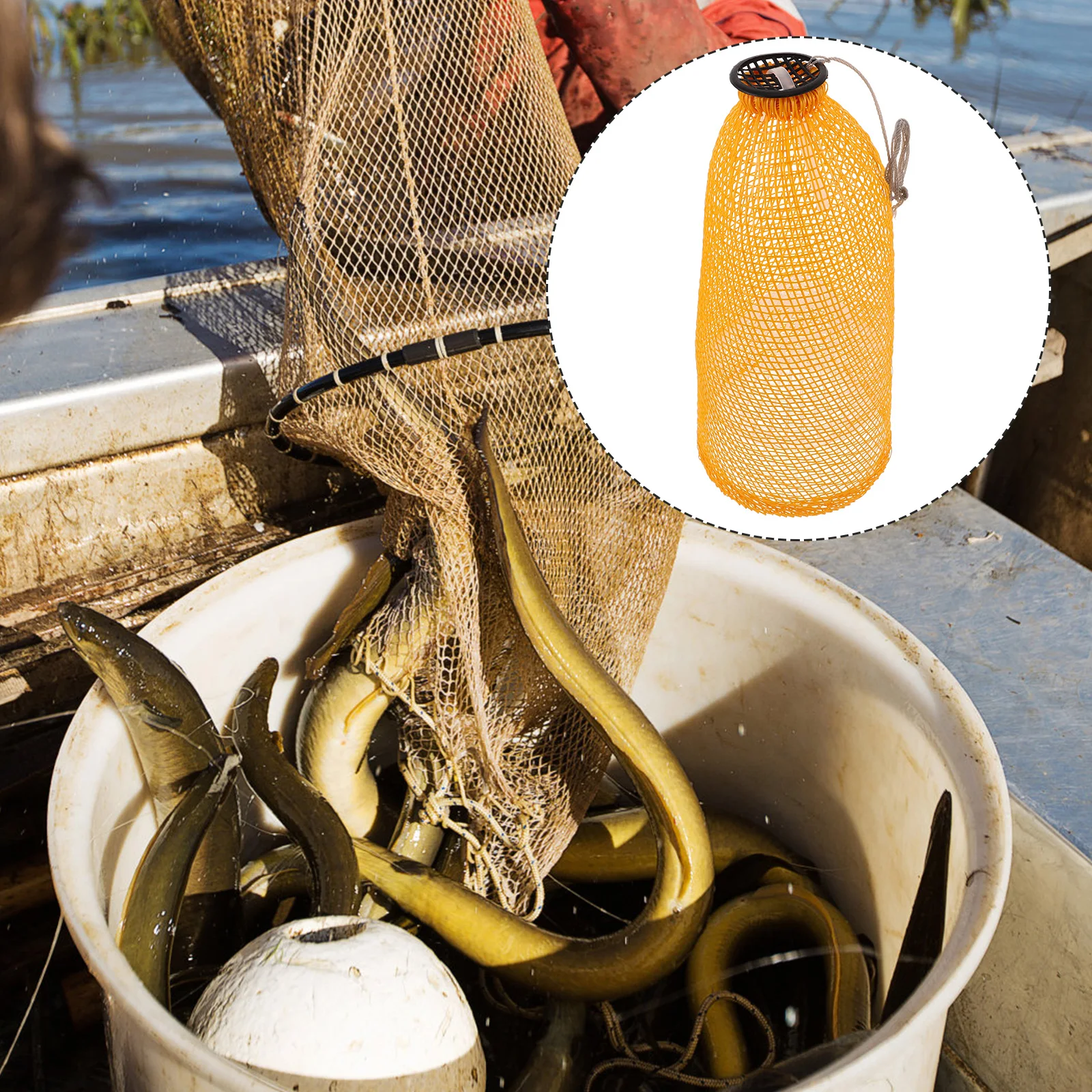 

Multipurpose Fish Collapsible Crawfish Crab Folding Fishing Trap Sturdy Plastic Portable For Shrimp Lobsters Eels Loaches