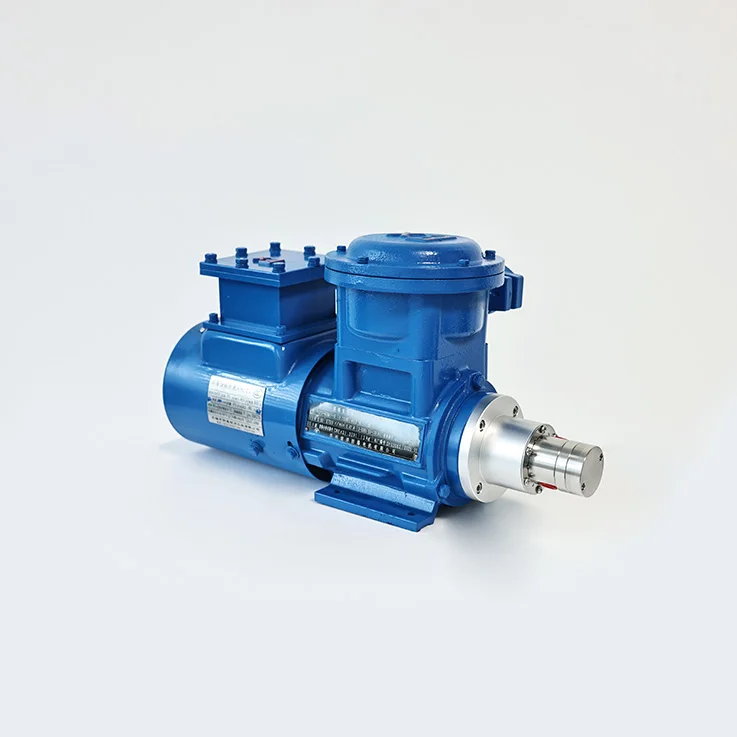 مضخة تروس مغناطيسية من الفولاذ المقاوم للصدأ بدرجة الطعام، منتج عالي الجودة غير قابل للتفكيك وغير قابل للتنظيف