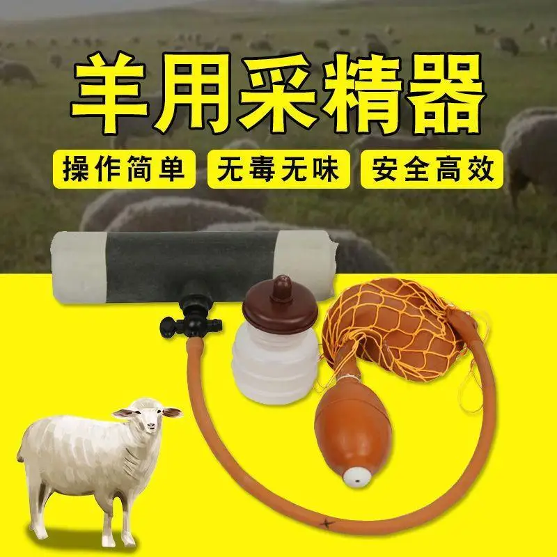 New Artificial Semen Collecting Device for Sheep and Artificial insemination Equipment for Sheep Fake Breeding