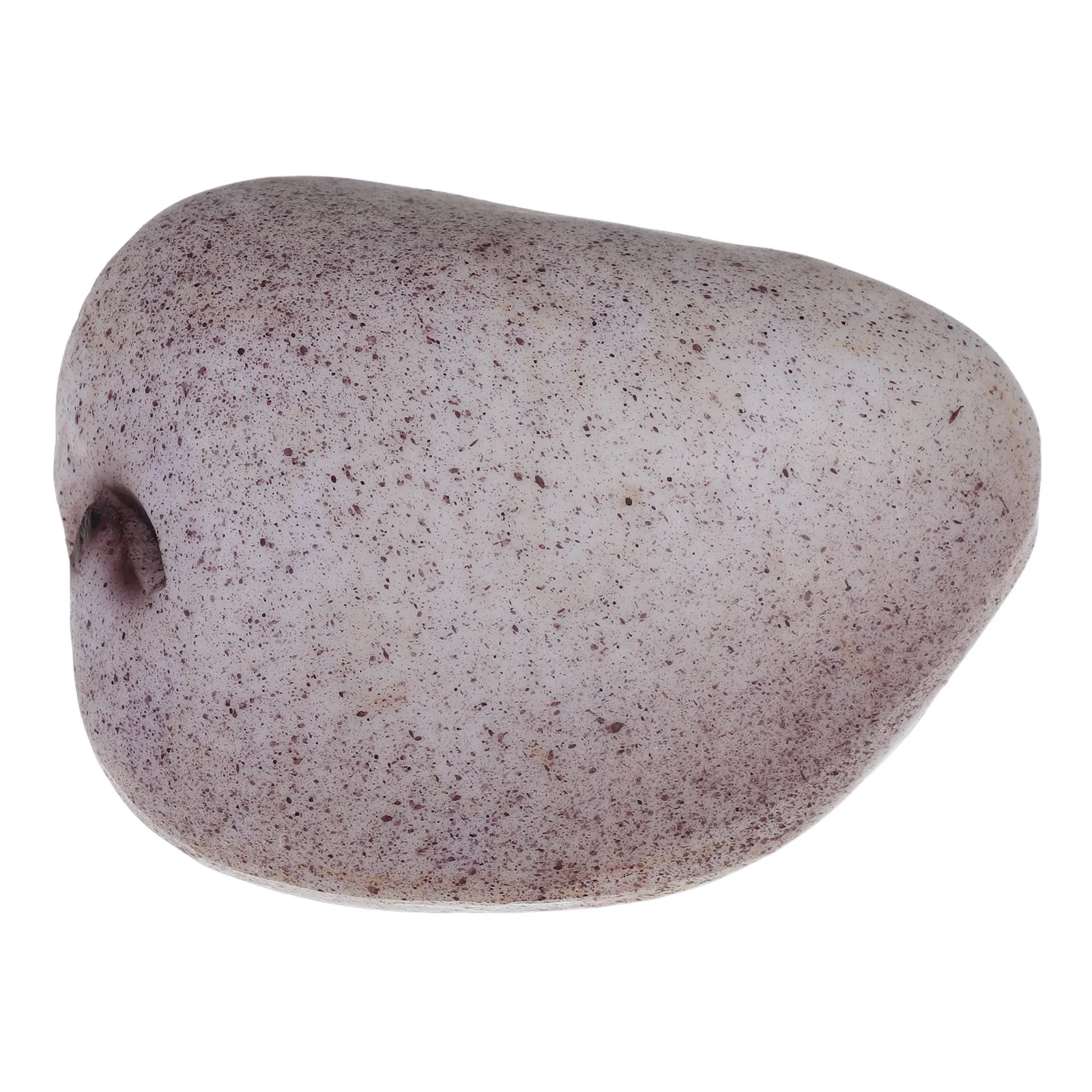 Garden Key Box For Storage Fall Outdoor Decor Authentic Looking Resin Stone Indoor Fake Rock Hider Front