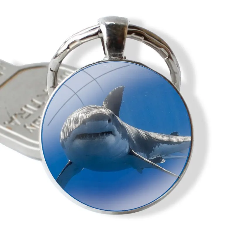 Killer Whale Orca Random Inspiration 25mm Glass Cabohcon Keychain Key Rings for Women Men Jewelry Gift