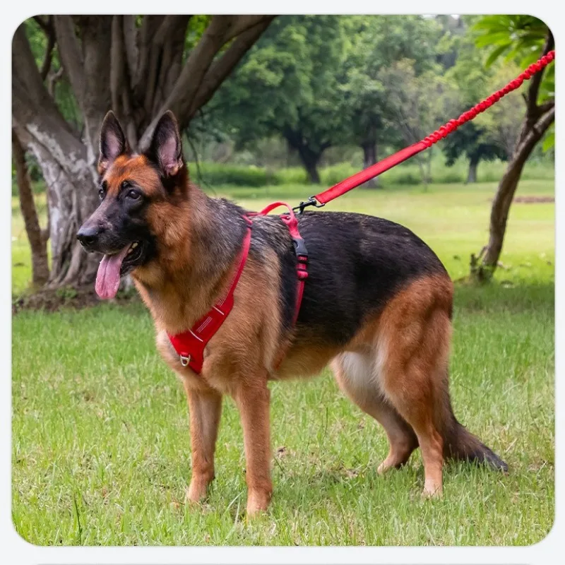 Arnés para perros transpirable y reflectante para actividades_voghion.com