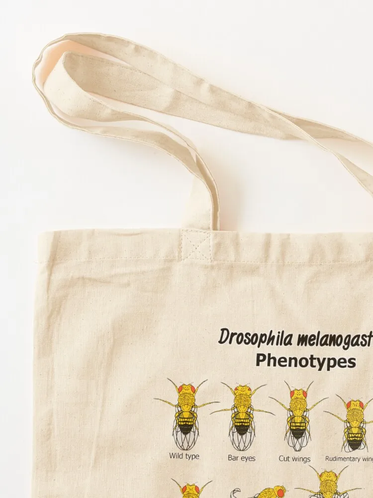 Drosophila melanogaster Phenotypes حمل حقيبة أكياس الحلوى كيس صب فام قماش stote حقيبة تسوق
