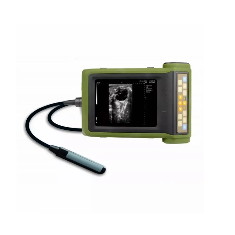 Kaixin RKU10 ultrasound scanner 6.5 MHz digital transrectal probe Veterinary B Ultrasound Scanner Animal Ultrasound