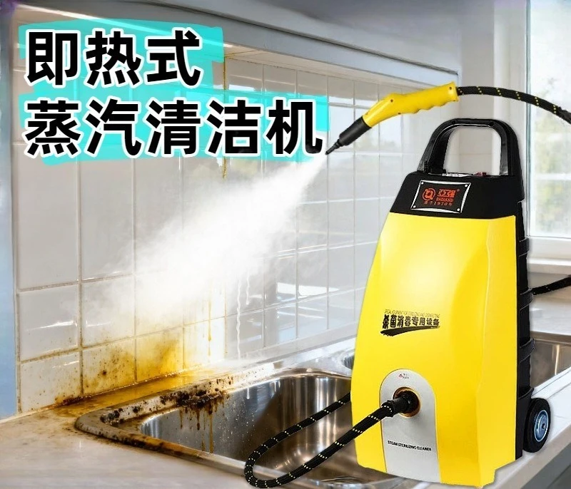 2025 Macchina per la pulizia a vapore - cucina multifunzionale - pulizia ad alta temperatura di tappeti - rimozione dei germe