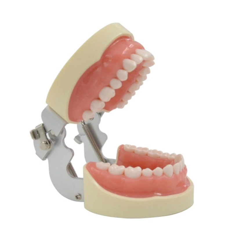 32 Removable Soft Tooth Model Dentist Veneer Teeth Preparation Orthodontic Teaching Practice Product for Drop Shipping