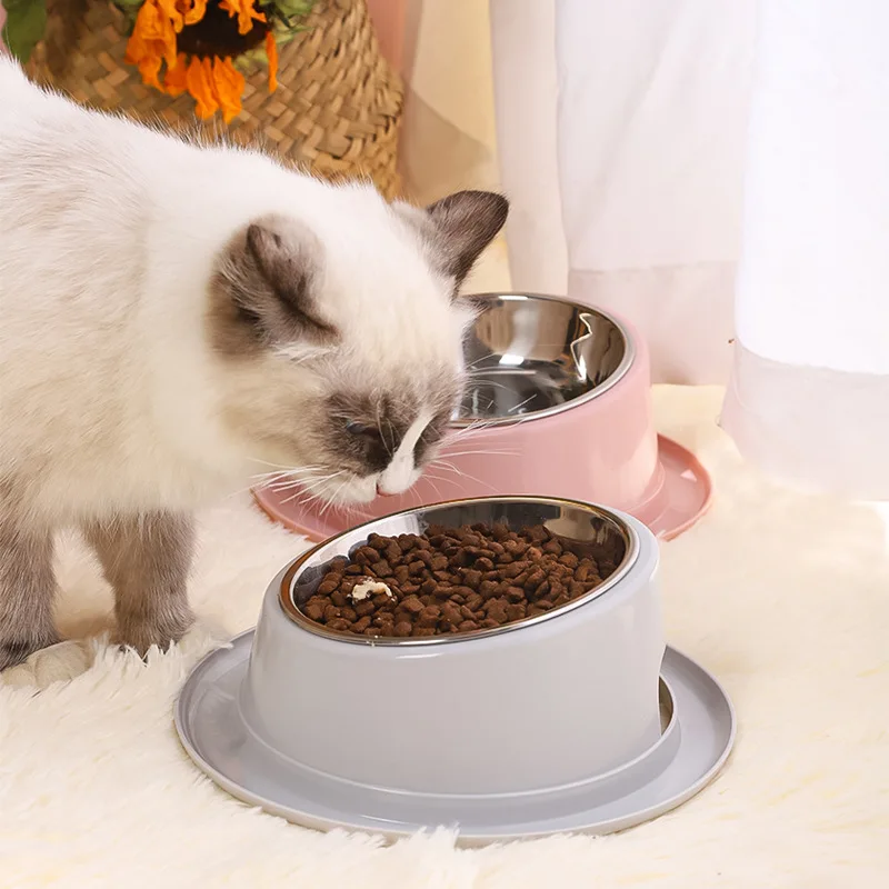 Pet Cat Feeder Slope Anti-Ant Food Bowl For Cat Pet Accessories Dog Bowl Quality Stainless Steel Container For Cats Pet Supplies