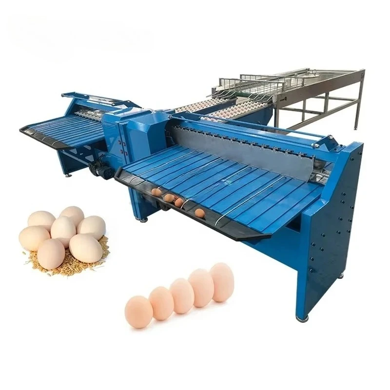 Multi-Purpose Small Egg Grading Machine Automatic Egg Size Sorting Grader For Poultry Farm