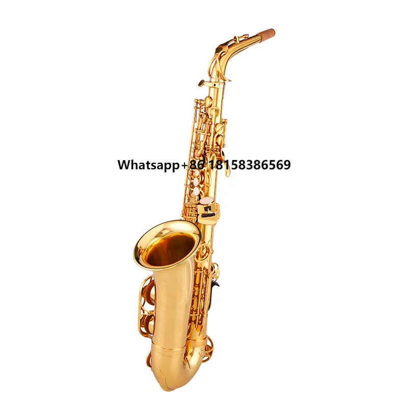 

Starway OEM ODM Professional Performance Level Lacquer Gold Hand-Carved E-Flat Alto Saxophone With Accessories Wind Instruments