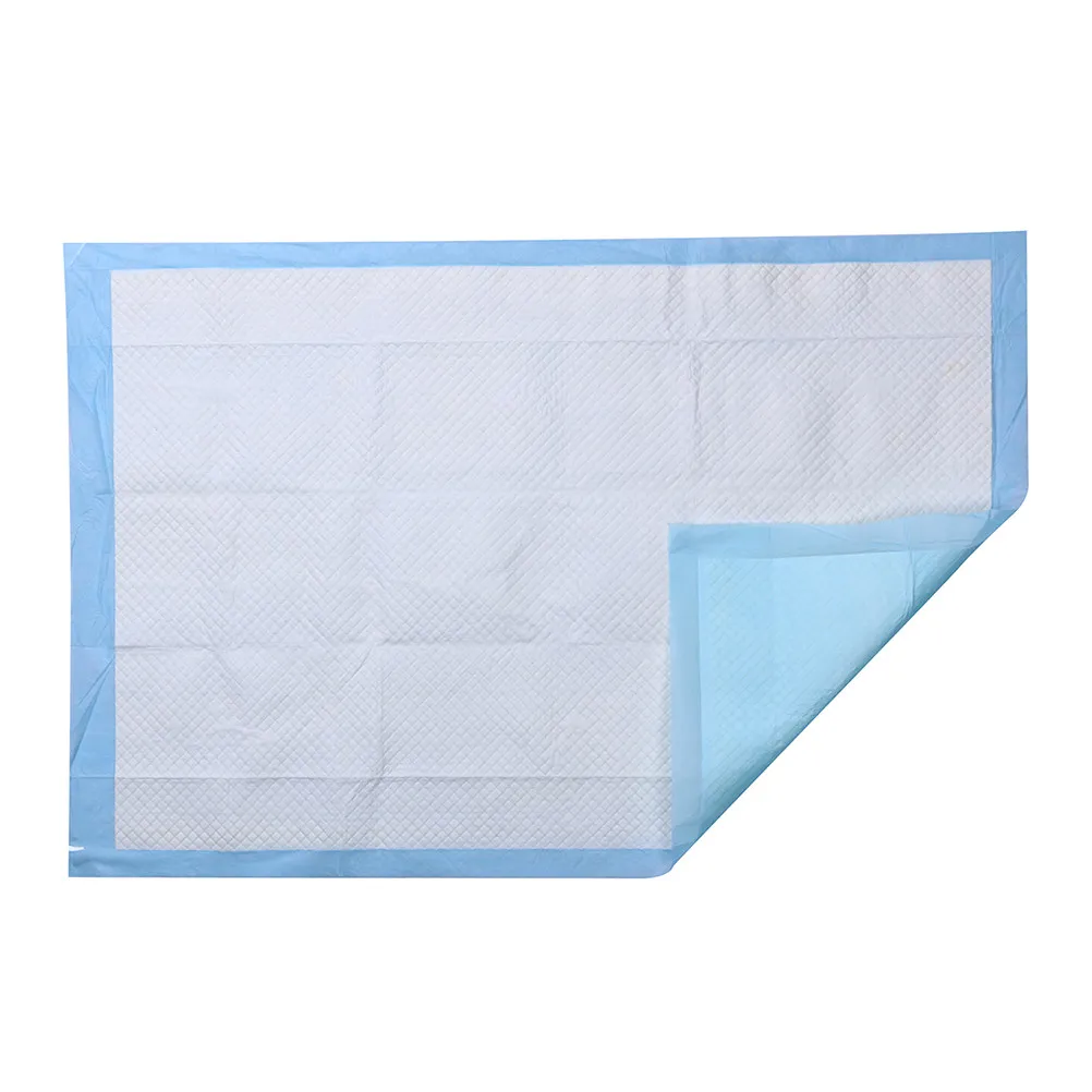 45x60cm Premium Quick-Dry Antibacterial Puppy Training Pads with Instant Absorption for Indoor Dogs Car Cage Hotel Use