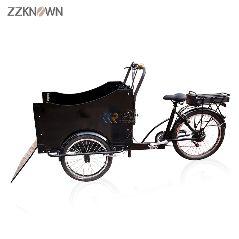 

Cargo Bike Electric Adult Tricycle Family Picnic Cart For Sale