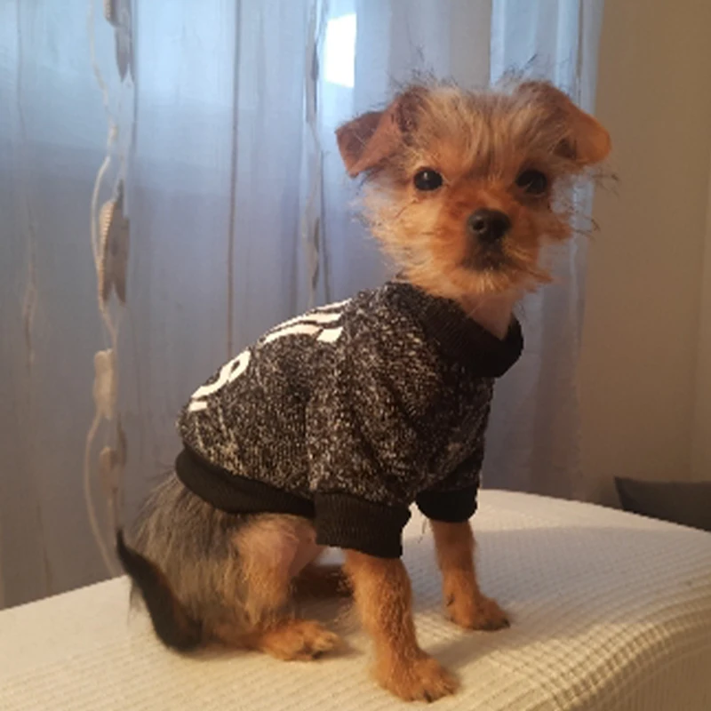 Dog Hoodie For Chihuahua Small Dog Clothing Dog Puppy Clothes Pets Products For Dog Winter Chihuahua Dog Costume For Cats Pug