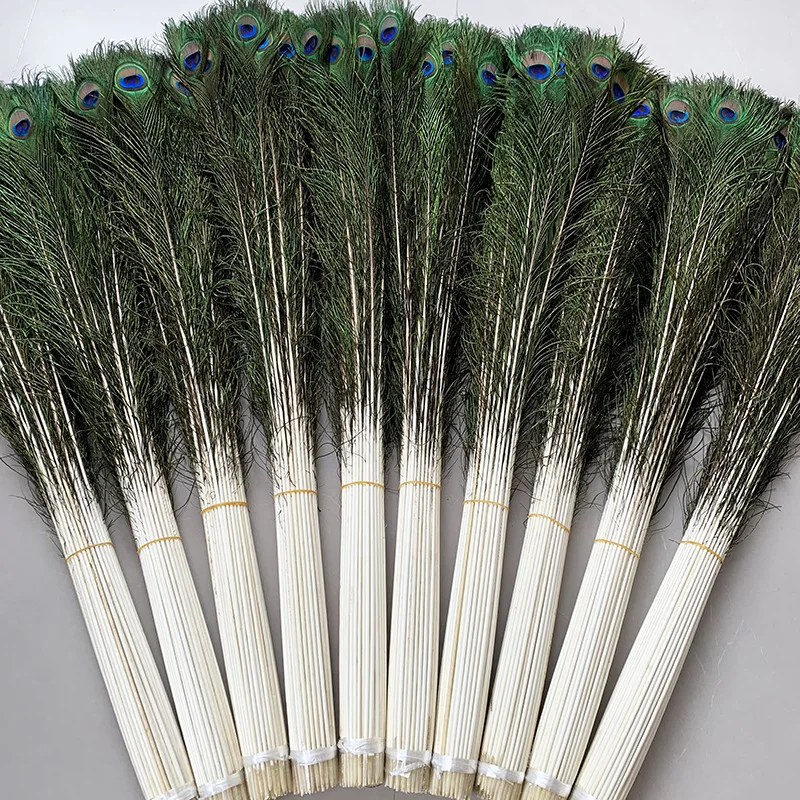 

60-100cm Extra Long Natural Peacock Feathers Bulk Wholesale 50/100pcs for Wedding DIY Decor