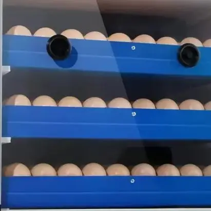 110V/220V Medium-sized Incubators Home Fully Automatic Intelligent Large-scale Breeding Incubators Egg Hatching Machine