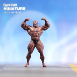 1/87 1/64 1/43 1/24 1/18 Anime Characters Bodybuilder Muscle Man Scene Figure Model Miniature Dolls Toy For Collection