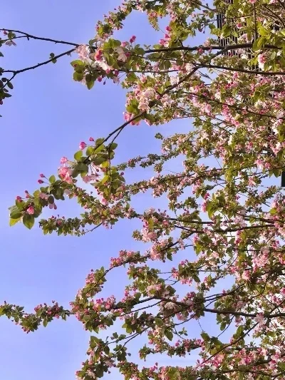 Batterie au lithium simulée, affichage basse tension, adaptée à la décoration de modèle de voiture de simulation 1/10 RC