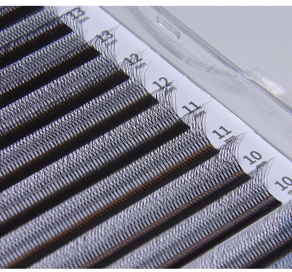 GLAMLASH C/D/L/LU/M Camellia 4D 5D W Wimpernverlängerung Großhandel vorgefertigtes Volumen 12 Reihen W-Stil Einzelwimpern natürlich weich – Detail 8
