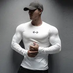 Spring and autumn new long sleeve T-shirt men's muscle sports leisure running fitness training fast dry  long sleeve men tops